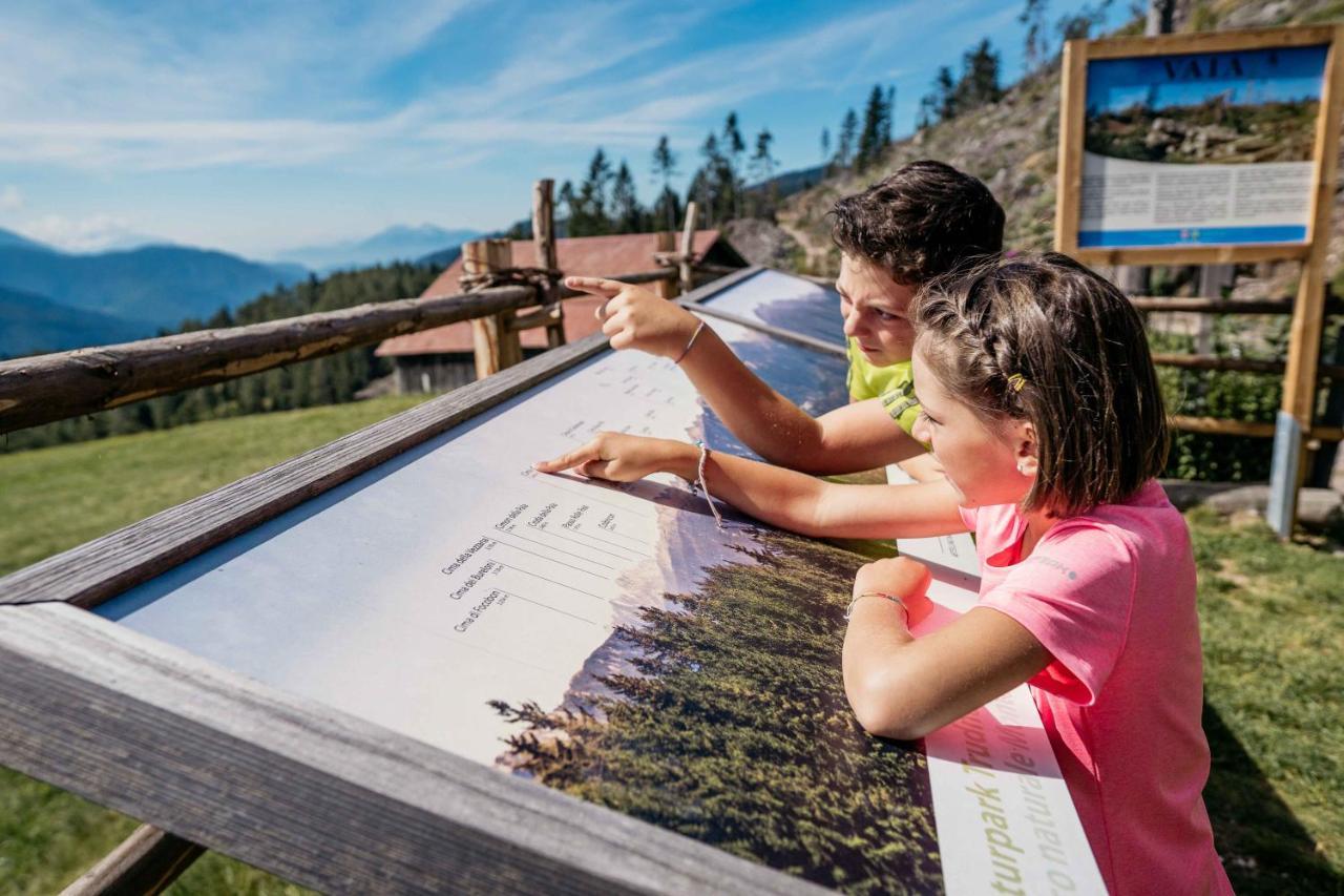 Michlhaus Nature And Suites Aldino Esterno foto